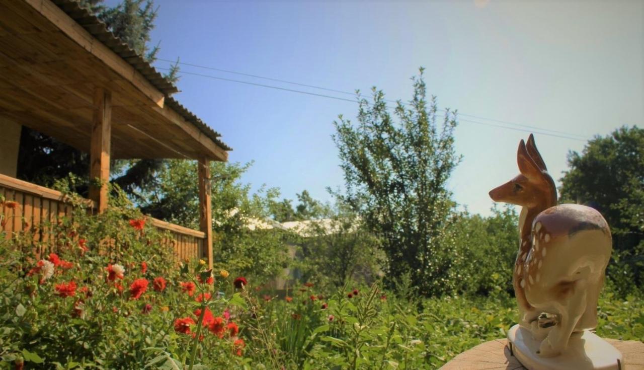 Homestay Armen's Sevan